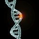Image for article titled A Gene That Makes You Really Horny for Men